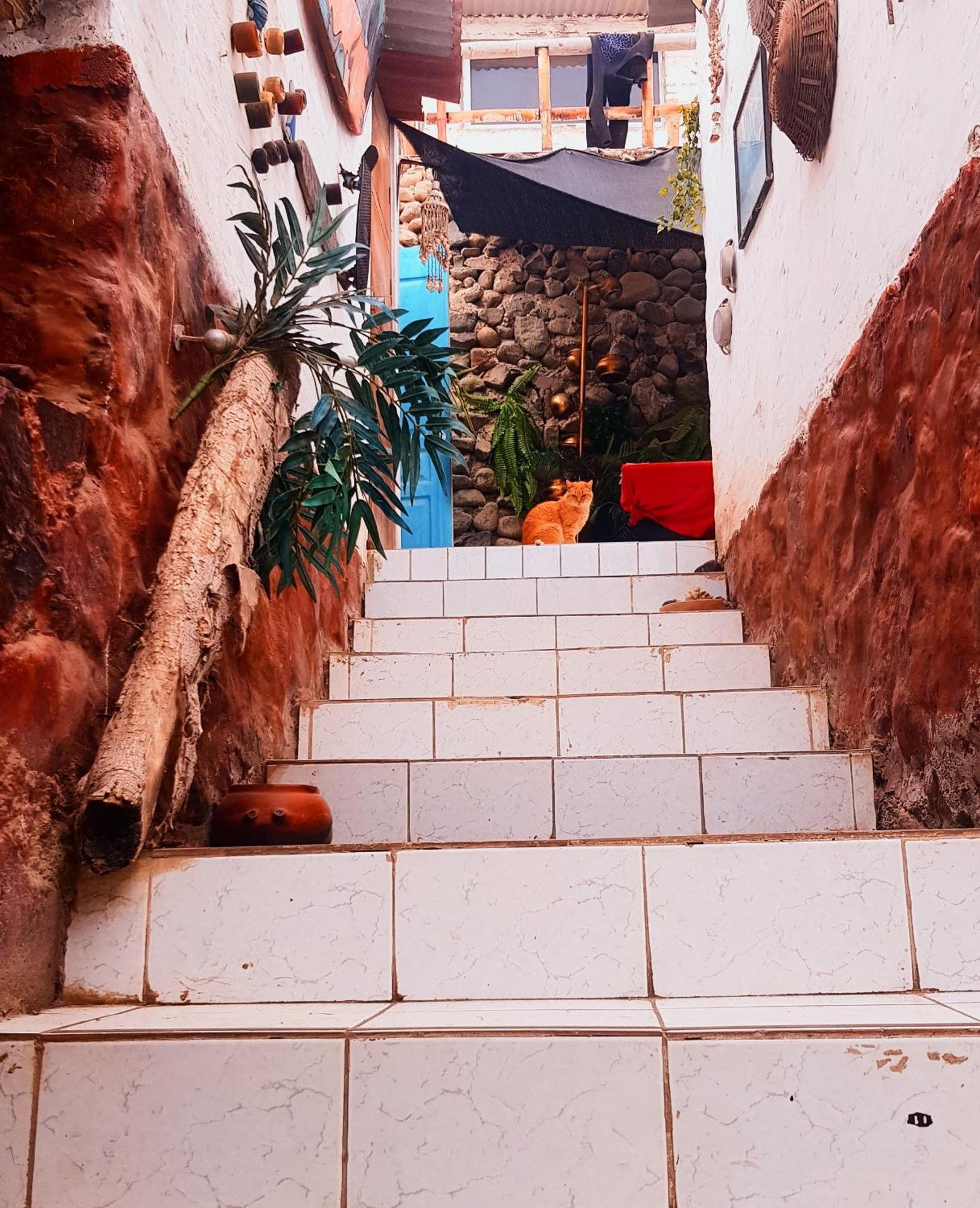 Huanchaco Surf Camp Exterior foto